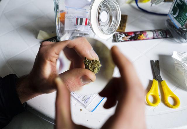 Marihuana je najzastupljenija droga u Srbiji